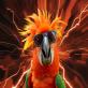 voucher code Aras Energy