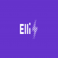 voucher code Elli Wallbox