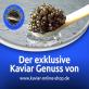 voucher code Kaviar Online Shop