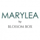 voucher code MARYLEA